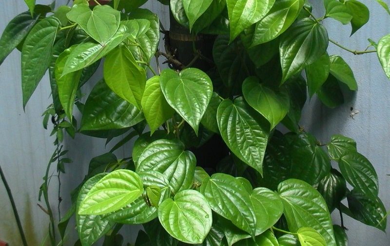 blog image